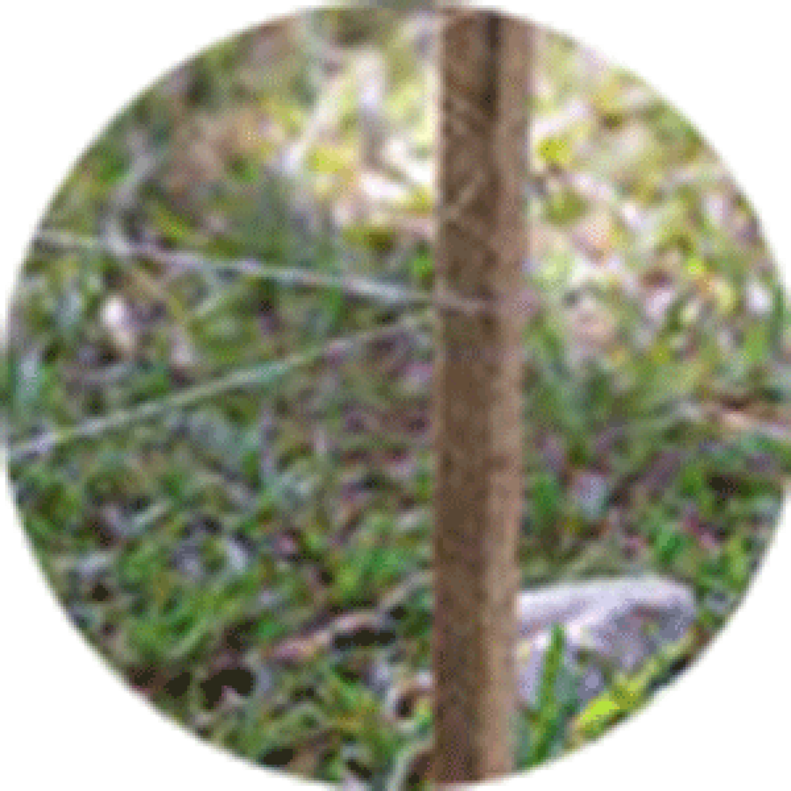 protek-instal1 Instalación cercos perimetrales - Paso 1